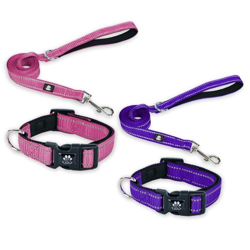 FURRYFECTION Hundehalsbänder und Leine, Set für Hunde, reflektierend, mit Schnalle, verstellbar, gepolstert, Nylon, für kleine, mittelgroße und große Hunde (kleines Halsband + 1,5 m Leine, Violett + von FURRYFECTION