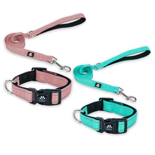 FURRYFECTION Hundehalsbänder und Leine, Set für Hunde, reflektierend, mit Schnalle, verstellbar, gepolstert, Nylon, für kleine, mittelgroße und große Hunde (mittelgroßes Halsband + 1,5 m Leine, Rosa + von FURRYFECTION