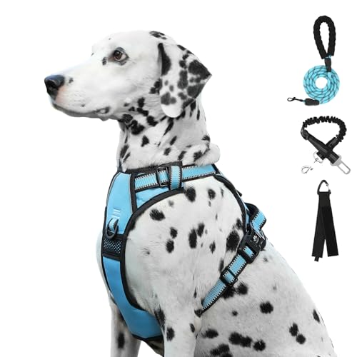 FURRYFECTION No Pull Hundegeschirr, Reflektierende Weste Geschirr mit Leine Kein Würgen Weich Gepolsterte Hundeweste, Blau, XL von FURRYFECTION