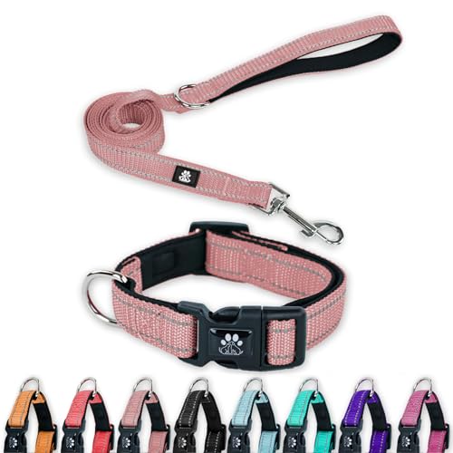 FURRYFECTION Reflektierendes Hundehalsband und Leine, Set mit Schnellverschluss-Schnalle, gepolstert mit Neopren, verstellbares Nylon-Hundehalsband für kleine, mittelgroße und große Hunde (großes von FURRYFECTION