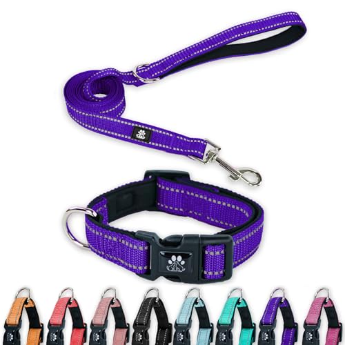 FURRYFECTION Reflektierendes Hundehalsband und Leine, Set mit Schnellverschluss-Schnalle, gepolstert mit Neopren, verstellbares Nylon-Hundehalsband für kleine, mittelgroße und große Hunde (großes von FURRYFECTION