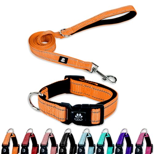 FURRYFECTION Reflektierendes Hundehalsband und Leine, Set mit Schnellverschluss-Schnalle, gepolstert mit Neopren, verstellbares Nylon-Hundehalsband für kleine, mittelgroße und große Hunde (großes von FURRYFECTION