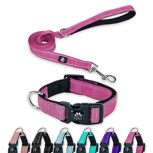 FURRYFECTION Reflektierendes Hundehalsband und Leine, Set mit Schnellverschluss-Schnalle, gepolstert mit Neopren, verstellbares Nylon-Hundehalsband für kleine, mittelgroße und große Hunde (kleines von FURRYFECTION