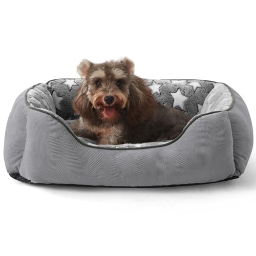 FURTIME Hundebett Kleine Hunde Hundekorb Waschbar Hundekörbchen rutschfeste Hundebetten Flauschig Hundematratze mit Erhöhte Ränder Weiches Hundesofa für Hunde Katze S(51x48x18cm) Grau/Sterne von FURTIME