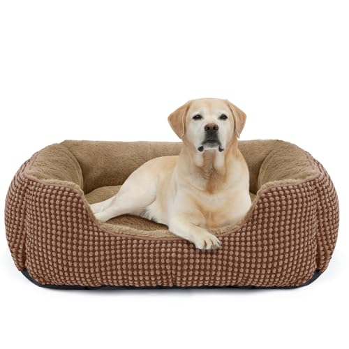 FURTIME Hundebett Mittelgroße Hunde, Hundekorb Waschbar Flauschig, rutschfeste Hundekörbchen, Anti-Angst Hundebetten für Mittelgroße Hunde und Katzen, 76x61x23cm FURTIME Hundebett Mittelgroße Hunde, Hundekorb Waschbar Flauschig, rutschfeste Hundekörbchen, Anti-Angst Hundebetten für Mittelgroße Hunde und Katzen, 76x61x23cm von FURTIME