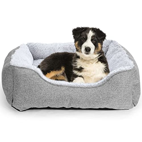 FURTIME Hundebett für große, mittelgroße und kleine Hunde und Katzen, weiches, beruhigendes orthopädisches Haustierbett mit mehreren Größen, rutschfester Unterseite (M (63.5x53.3x20.3 cm)) von FURTIME