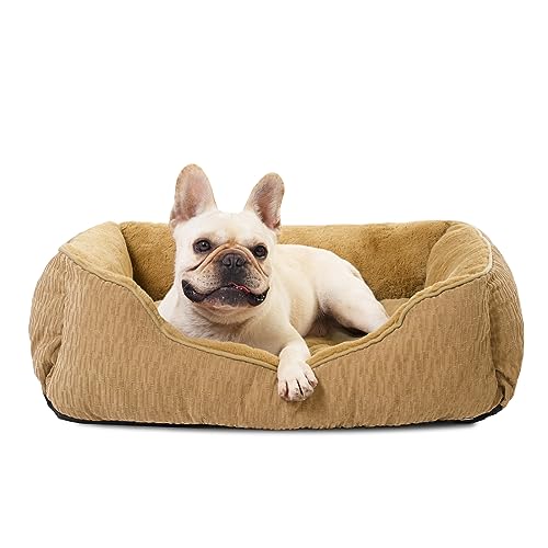 FURTIME Hundebetten für kleine Hunde, kleines Hundebett, 43,2 x 38,1 cm, weich und bequem, waschbar, wärmendes Hundebett und Möbel, Deluxe-Hundebett, Sofa, atmungsaktiv und langlebig, Haustierbett mit von FURTIME