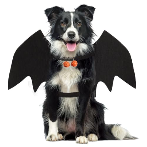 Fledermausflügel Hund Halloween, Fledermaus Kostüm Hund, Fledermausflügel Hund, Halloween Kostüm Hunde Fledermaus, Hundekostüm Halloween,M von VFY