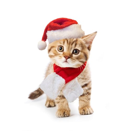 Katzen Weihnachtsmütze mit Schal Katzenkostüm Weihnachten Weihnachtsmütze Katze Hund Katzen Haustier Weihnachtsmütze Katzen Kleidung Weihnachten für Katze Kleiner Hund(M) von FUTERLY