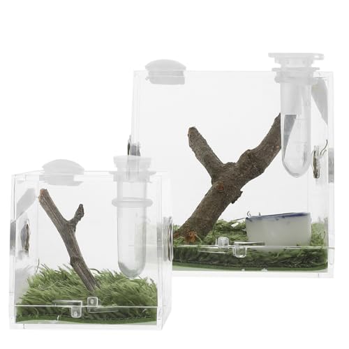 FUTUREORYY 2Stücke Sprungbox Für Insektenzucht Kleine Futterbox Für Spinnen Skorpione Grillen Transparente Aufzuchtbehälter Mit Belüftungslöchern Für Optimale FUTUREORYY 2Stücke Sprungbox Für Insektenzucht Kleine Futterbox Für Spinnen Skorpione Grillen Transparente Aufzuchtbehälter Mit Belüftungslöchern Für Optimale von FUTUREORYY