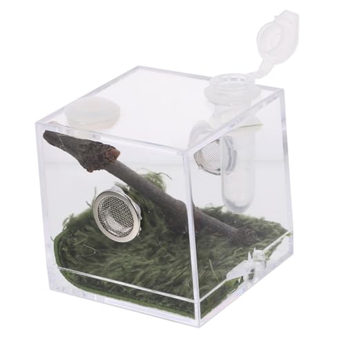 FUTUREORYY Zuchtbox Für Reptilien Transparentes Design Stabiler Behälter Für Spinnen Und Insekten Langlebig Aus Beobachten Von Haustieren FUTUREORYY Zuchtbox Für Reptilien Transparentes Design Stabiler Behälter Für Spinnen Und Insekten Langlebig Aus Beobachten Von Haustieren von FUTUREORYY