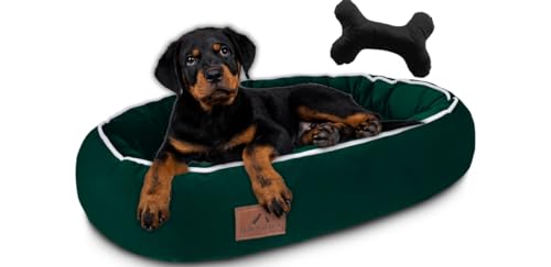 FUUFEE Hundebett, Hundekorb, Hundesofa, Hundeliege, Hundebett kleine Hunde, Hundezubehör, hundebett orthopädisch, Hundebetten 70 x 60 cm Green von FUUFEE