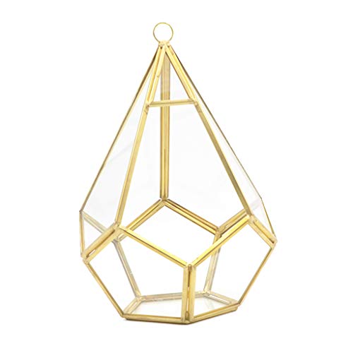 FUXIU Fünfseitiges Rhombus-Glasregal, geometrisches Sukkulenten-Terrarium, geeignet für Desktop-Dekoration, großer transparenter Moos-Übertopf von FUXIU