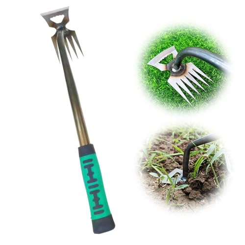 FUXNGZI Gartenarbeit Hand Unkrautstecher, Fugenkratzer Unkraut, Unkrautstecher, Outdoor-Garten-Reinigungsschaufel, Gartengeräte, Profi Trimmer Unkraut Geeignet zum Jäten (5 Zähne) von FUXNGZI