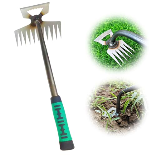 FUXNGZI Gartenarbeit Hand Unkrautstecher, Unkrautstecher, Unkraut Jäten Gartengeräte Entwurzelung Jäten Werkzeug, Outdoor-Garten-Reinigungsschaufel, Gartengeräte, Profi Trimmer Unkraut (11 Zähne) von FUXNGZI