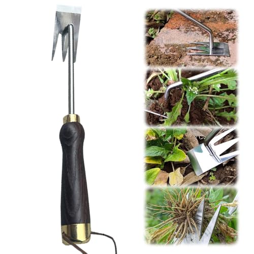 FUXNGZI Gartenarbeit Hand Unkrautstecher,Unkrautstecher,Unkraut Jäten Gartengeräte Entwurzelung Jäten Werkzeug, Outdoor-Garten-Reinigungsschaufel, Gartengeräte,Profi Trimmer Unkraut (#C) von FUXNGZI