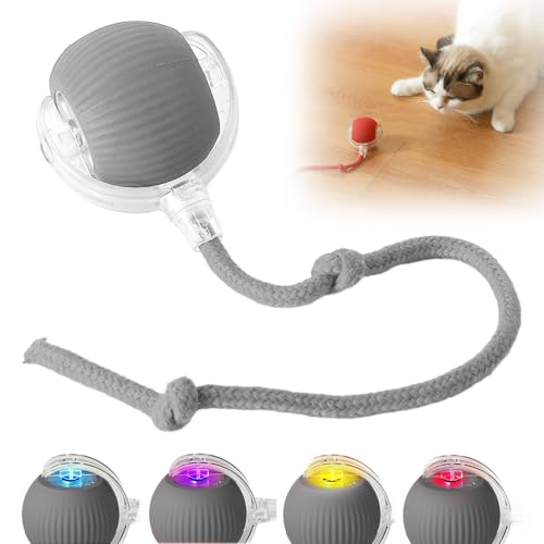 FUXNGZI Hundespielzeug Ball, 2025 Neu Magic Ball Hund, Interaktives Hundespielzeug Ball,Hundeball Elektrisch,Hundespielzeug Unzerstörbar,Smart Automatisch Rollender Ball für Katzen und Hunde (Grau) von FUXNGZI