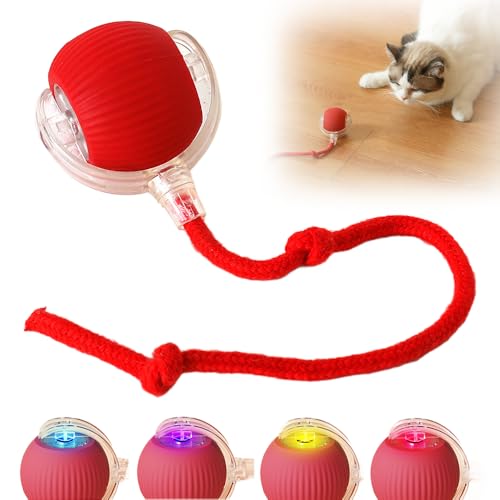 FUXNGZI Hundespielzeug Ball, 2025 Neu Magic Ball Hund, Interaktives Hundespielzeug Ball,Hundeball Elektrisch,Hundespielzeug Unzerstörbar,Smart Automatisch Rollender Ball für Katzen und Hunde (Rot) von FUXNGZI