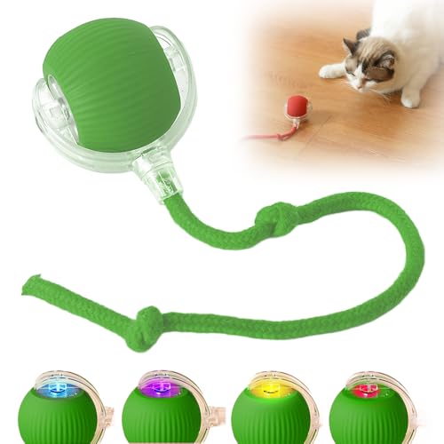 FUXNGZI Hundespielzeug Ball, 2025 Neu Magic Ball Hund, Interaktives Hundespielzeug Ball,Hundeball Elektrisch,Hundespielzeug Unzerstörbar,Smart Automatisch Rollender Ball für Katzen und Hunde (Grün) von FUXNGZI