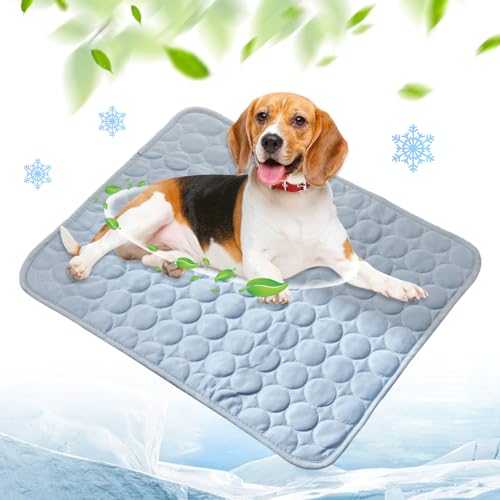 FUXNGZI Kühlmatte für Den Sommer, 2024 Neu Kühlmatte Hund, Hundekühlmatte für Hund & Katze Selbstkühlende Matte für Haustiere Summer Pet Ice Pad Abrieb- und Bissfest Natürliche Kühlung (05, XS) von FUXNGZI