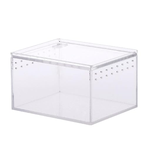 FUZYXIH Acryl Reptilienkäfig Aufzuchtbox Terrarium Transparenter Futterraum Für Schlangen Kleine Haustiere Isopoden Eidechsen Kakerlaken Insekten Reptilien Aufzuchtbox Reptilien Aufzuchtbox Groß von FUZYXIH