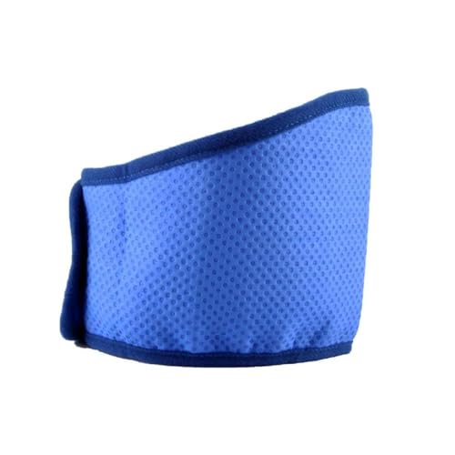 Hund Sommer Kühlhalsband Anti-Sunstroke Hund Cool Ice-Pad Halsband Atmungsaktiv Hund Mesh Schal Einstellbare Kühlung Bandanas Hund Kühlung Bandanas Sommer Hund Schal von FUZYXIH