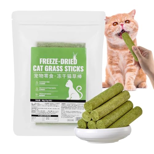 FVPKYUR Katzengrasstäbchen, Katzengras-Leckereien - 8 Sticks Kausnacks für Katzen | Gefriergetrocknete Beißstangen für Katzen, aromatisierte Snack-Leckereien für Katzen, um die Katze energiegeladen zu von FVPKYUR