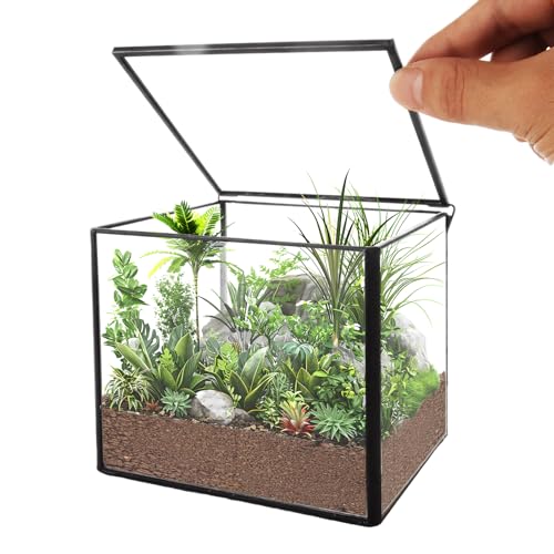 Quadratisches Glas-Moos-Terrarium mit Deckel, für den Innenbereich, kleines Glaspflanzen-Terrarium, Glas-Pflanzkasten für Tischdekoration, DIY, 10,9 x 10,9 x 10,2 cm von FWEEK