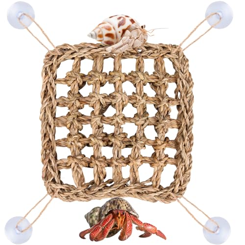 FWUNYVN Einsiedlerkrebs-Kletterspielzeug, Eidechse, Seegras-Matte, Einsiedlerkrebs-Hängematte mit 4 Saugnäpfen, Einsiedlerkrebs-Zubehör, Dekoration, Lebensraum, kleine Reptilienbehälter, Zubehör für von FWUNYVN