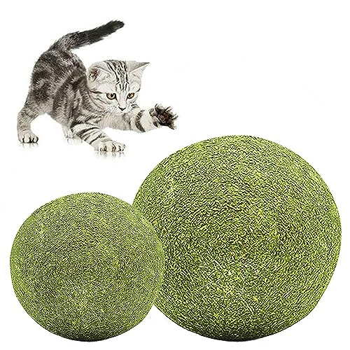 FYANER Katzenminze Ball Katze Minze Spielzeugball, Katzenkugel Spielzeugkatze Minzkugel, Katzenleckerlies für Die Reinigung Der Katzenzähne und Den Magen-Darm Schutz (2 stück) von FYANER