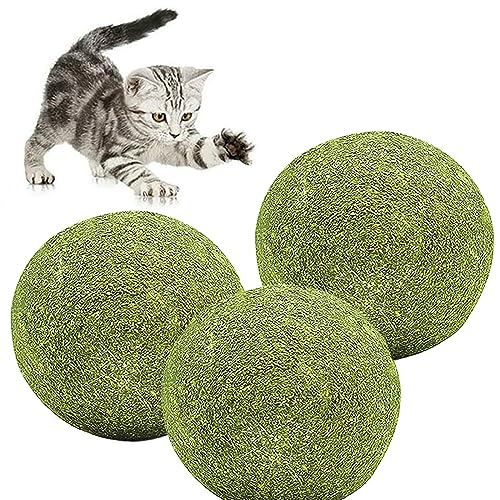 FYANER Katzenminze Ball Katze Minze Spielzeugball, Katzenkugel Spielzeugkatze Minzkugel, Katzenleckerlies für Die Reinigung Der Katzenzähne und Den Magen-Darm Schutz (3 stück) von FYANER