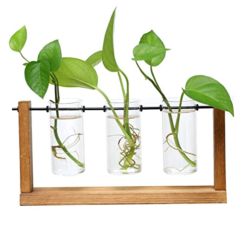 FYOBOT Terrarium Hydroponische Pflanze Transparente Vase Rahmen Vase Dekorationen Glas Tisch Pflanze Bonsai Dekor Blumen Vase von FYOBOT