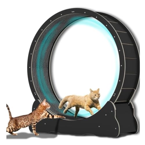 FYSXCXS Cat Wheel Einfache Rolle Leise Haushaltshaustier Holz Sport Laufrad Katze Klettergerüst Haustier Holz Katze Laufband Spielgeräte für Haustiere(Black) von FYSXCXS