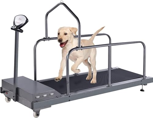 FZDZ Indoor Pet Laufband für kleine, mittelgroße und große Hunde, Hundetrainer, Hunde-Laufband, Hundetrainer, Heimtrainer von FZDZ