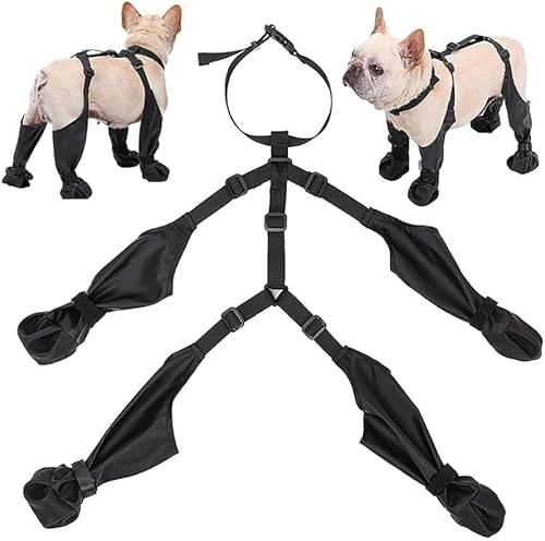 FZKun Hosenträgerstiefel für Hunde – wasserdichte Strumpfhose für Haustiere, Hundestiefel-Leggings, rutschfeste Hundeschuhe, Hundepfotenschutz mit Hilfsgurt für den Winter, Outdoor, Spaziergänge (L, von FZKun