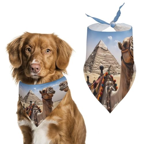 Hundehalstücher mit Pyramide Kamel bedruckt, Hundeschal, Hunde-Lätzchen, waschbar, Polyester, Taschentuch, Dreieckstuch für kleine, mittelgroße und große Hunde von FZMVSQH