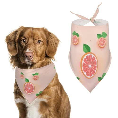 Hundehalstücher mit niedlichem Grapefruit-Druck, Hunde-Lätzchen, waschbar, Polyester, Taschentuch, Dreieckstuch für kleine, mittelgroße und große Hunde von FZMVSQH