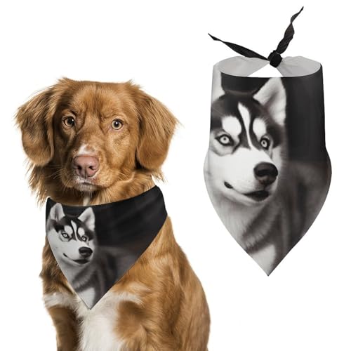 Hundehalstücher mit niedlichem Husky-Hund, bedruckt, Hunde-Lätzchen, waschbar, Polyester, Taschentuch, Dreieckstuch für kleine, mittelgroße und große Hunde von FZMVSQH