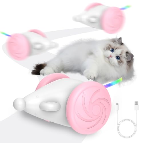 FZQBEY Katzenspielzeug Elektrisch Spielmaus, Katzenspielzeug Mäuse, Spielmäuse für Katze mit Leuchtschwanz, Interaktive Katzen Spielzeug Maus mit USB Kabel, Katzenspielzeug Selbstbeschäftigung (Rosa) von FZQBEY