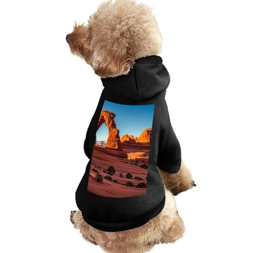 Hundepullover, warme Hunde- und Katzenbekleidung, Winter-Hundemantel mit Kapuze, weiche Haustierkleidung, Größe XS-2XL, für kaltes Wetter, Bögen, Nationalpark-Standard, Hundejacke für kleine, von FZQVSGW