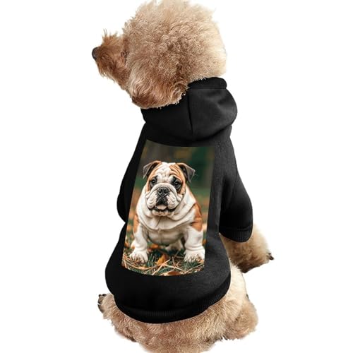 Hundepullover, warme Hunde- und Katzenbekleidung, Winter-Hundemantel mit Kapuze, weiche Haustierkleidung, Größe XS-2XL, für kaltes Wetter, niedliche Bulldogge, Hundejacke für kleine, mittelgroße Hunde von FZQVSGW