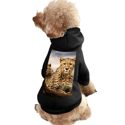 Hundepullover, warme Hunde- und Katzenbekleidung, Winter-Hundemantel mit Kapuze, weiche Haustierkleidung, Größe XS-2XL, kaltes Wetter, coole Leoparden-Hundejacke für kleine, mittelgroße Hunde und von FZQVSGW