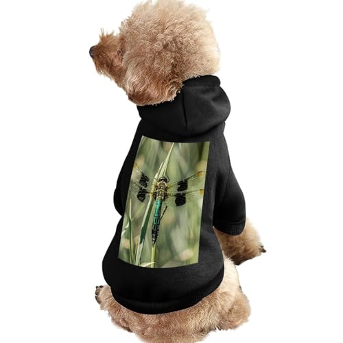 Hundepullover, warme Hunde- und Katzenbekleidung, Winter-Hundemantel mit Kapuze, weiche Haustierkleidung, Größe XS-XXL, für kaltes Wetter, Libelle, schwarze Hundejacke für kleine, mittelgroße Hunde von FZQVSGW