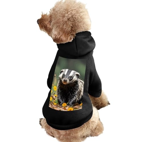 Hundepullover, warme Hunde- und Katzenbekleidung, Winter-Hundemantel mit Kapuze, weiche Haustierkleidung, Größe XS-XXL, für kaltes Wetter, niedliche Hundejacke für kleine, mittelgroße Hunde und Katzen von FZQVSGW