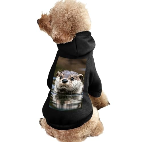 Hundepullover, warme Hunde- und Katzenbekleidung, Winter-Hundemantel mit Kapuze, weiche Haustierkleidung, Größe XS-XXL, für kaltes Wetter, niedliche Otter-Hundejacke für kleine, mittelgroße Hunde und von FZQVSGW