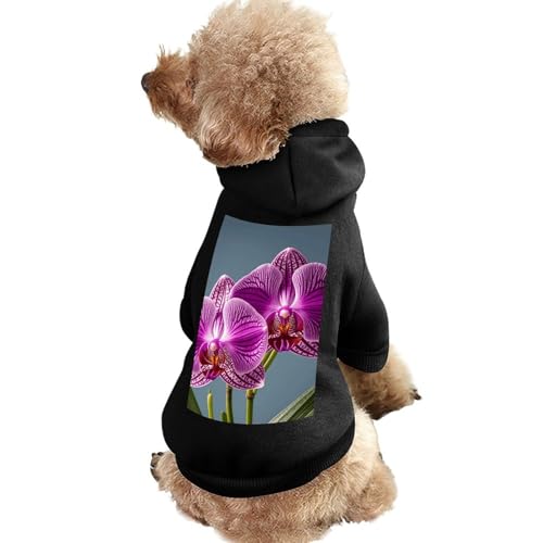 Hundepullover, warme Hunde- und Katzenbekleidung, Winter-Hundemantel mit Kapuze, weiche Haustierkleidung, Größe XS-XXL, kaltes Wetter, violette Orchideen-Druck, Hundejacke für kleine, mittelgroße von FZQVSGW