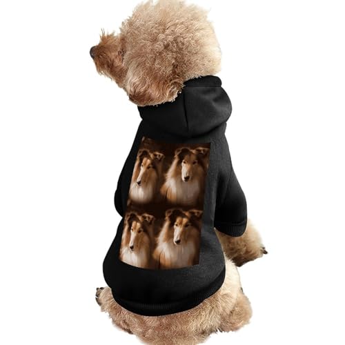 Hundepullover, warme Hunde- und Katzenbekleidung, Winter-Hundemantel mit Kapuze, weiche Haustierkleidung, XS-2XL, für kaltes Wetter, Hundejacke für kleine, mittelgroße Hunde und Katzen von FZQVSGW