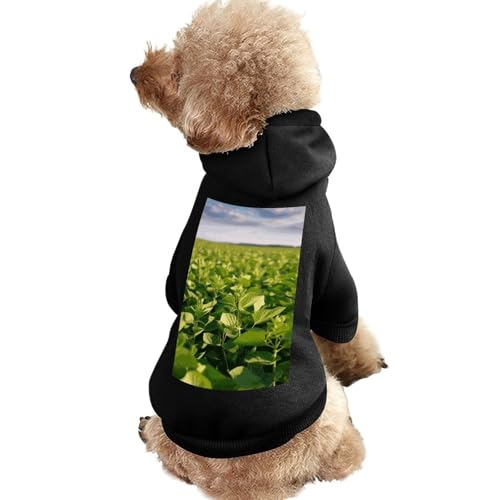 Hundepullover, warme Hunde- und Katzenbekleidung, Winter-Hundemantel mit Kapuze, weiche Haustierkleidung, XS-2XL, kaltes Wetter, Sojabohnenfeld, Hundejacke für kleine, mittelgroße Hunde und Katzen von FZQVSGW