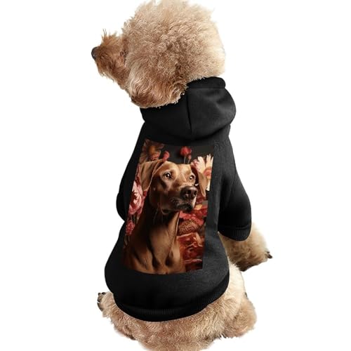 Hundepullover, warme Hunde- und Katzenkleidung, Winter-Hundemantel mit Kapuze, weiche Haustierkleidung, XS-2XL, für kaltes Wetter, braune Hundejacke für kleine, mittelgroße Hunde und Katzen von FZQVSGW