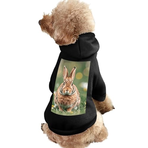 Hundepullover, warme Hunde- und Katzenkleidung, Winter-Hundemantel mit Kapuze, weiche Haustierkleidung, XS-2XL, kaltes Wetter, Kaninchenhintergrund, Hundejacke für kleine, mittelgroße Hunde und Katzen von FZQVSGW